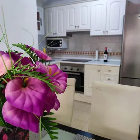 Apartamento Cristianos - Heated Swimming Pool Air-conditioned Los Cristianos (Tenerife)